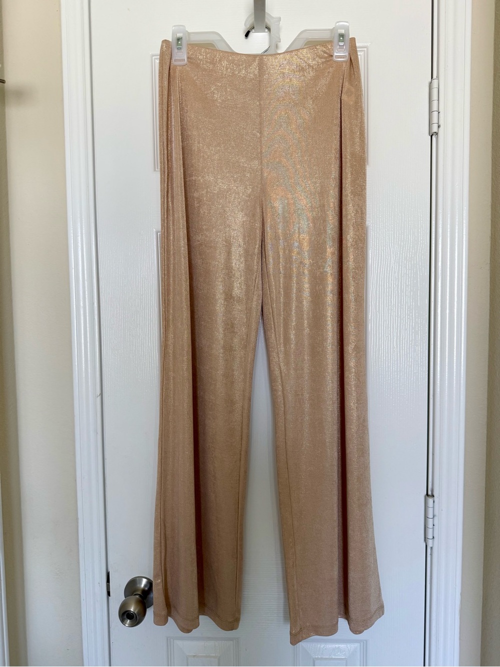 Zara Shimmery Wide-Leg Metallic Beige Pants - Sz M